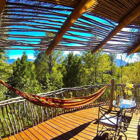 Tree Lodge Nidos De Pucón Exterior foto