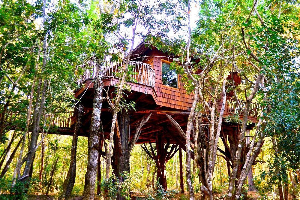 Tree Lodge Nidos De Pucón Exterior foto