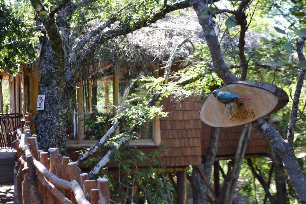 Tree Lodge Nidos De Pucón Exterior foto
