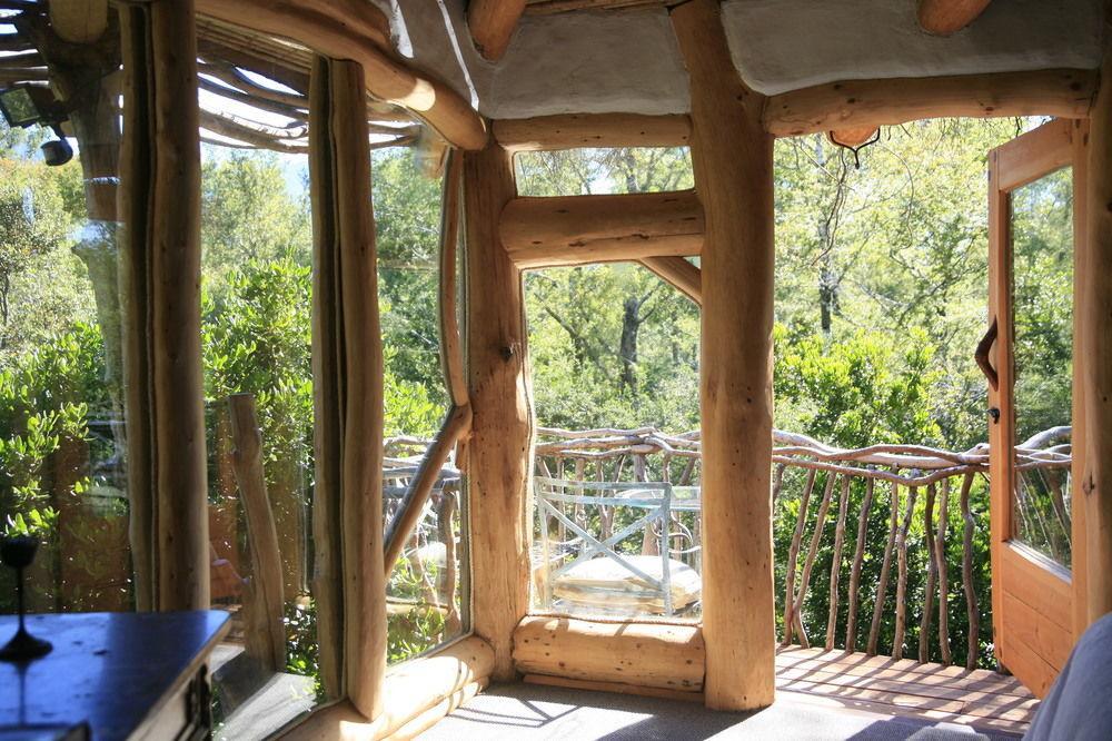 Tree Lodge Nidos De Pucón Exterior foto