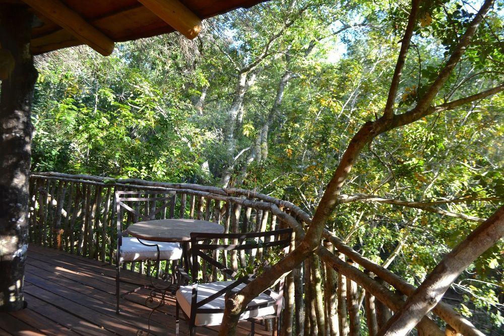 Tree Lodge Nidos De Pucón Exterior foto