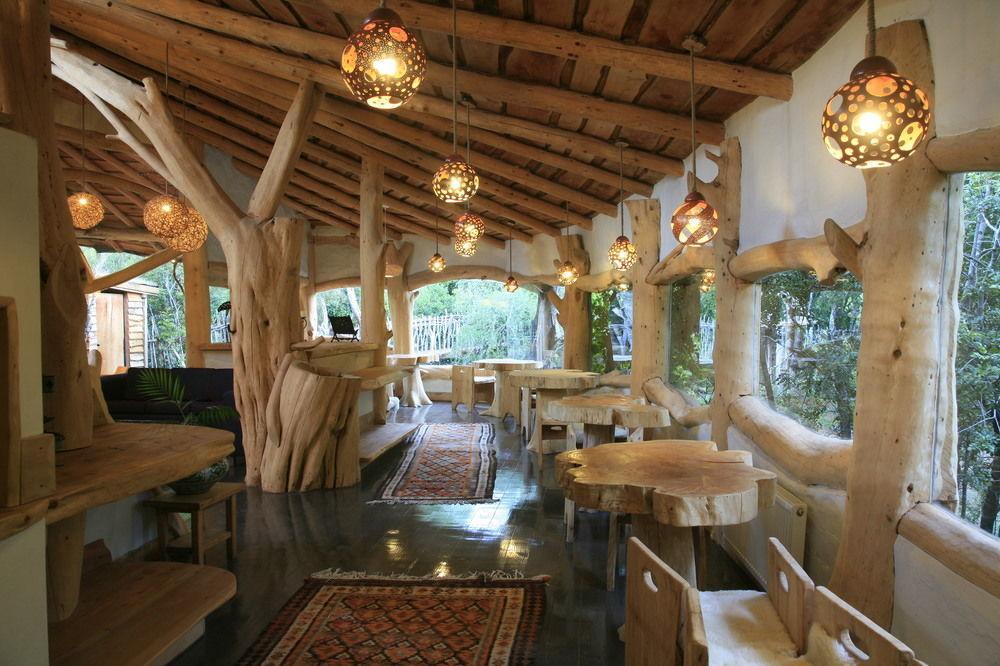 Tree Lodge Nidos De Pucón Exterior foto
