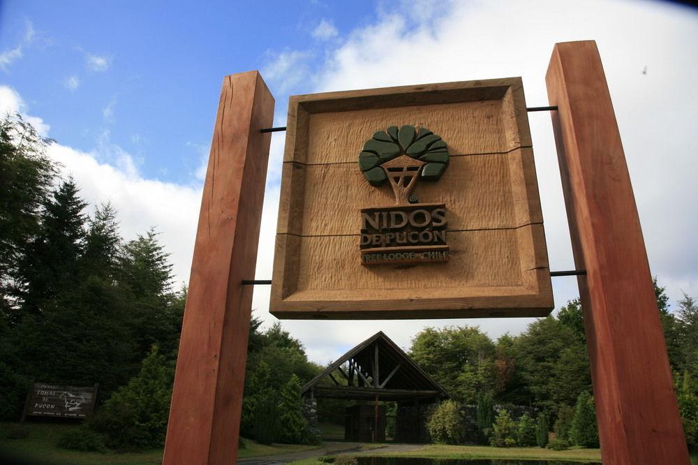 Tree Lodge Nidos De Pucón Exterior foto