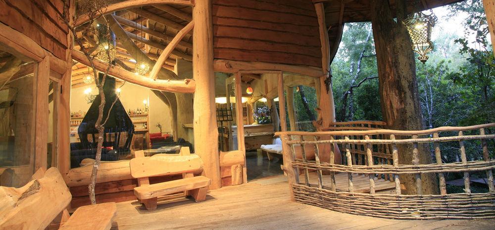 Tree Lodge Nidos De Pucón Exterior foto